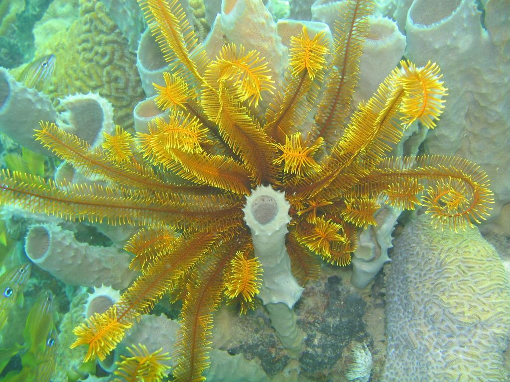 Sunset Bay Club & Seaside Dive Resort Salisbury Kültér fotó